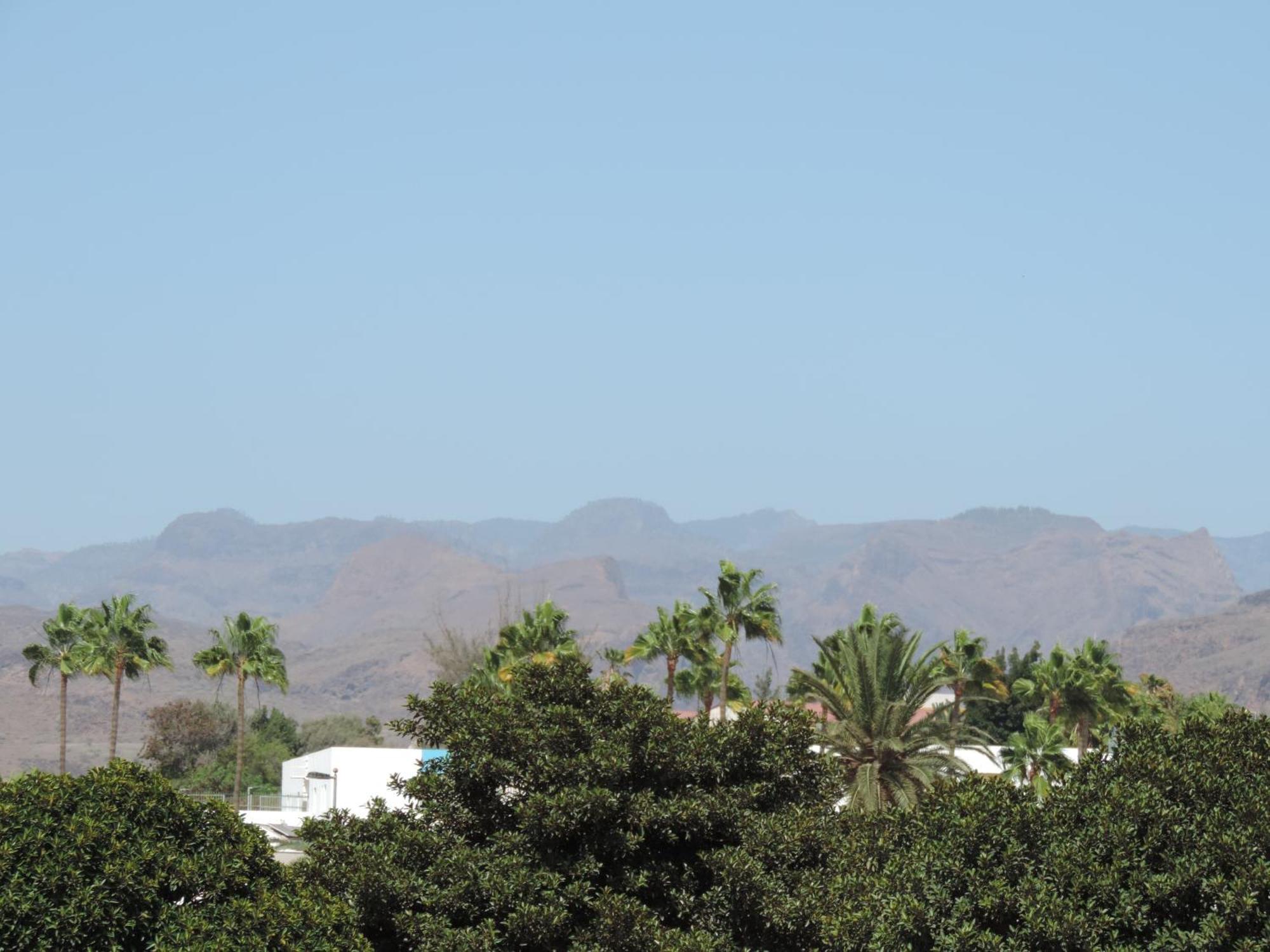 شقة Bungalow Del Sol Maspalomas ماسبالوماس المظهر الخارجي الصورة
